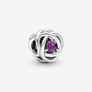 Pandora February Purple Eternity Circle Charm Gümüş | 586-QXMCJR