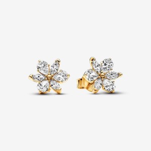 Pandora Sparkling Herbarium Cluster Stud Earrings Altın | 140-FGKUTX