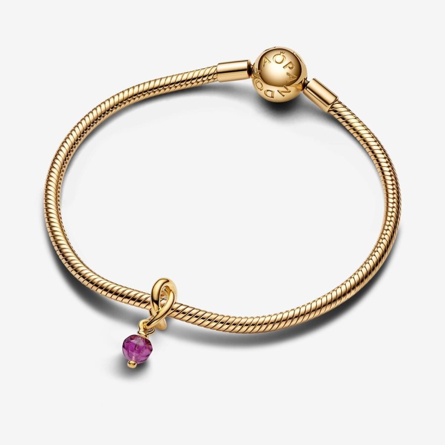 Pandora February Purple Eternity Circle Dangle Charm Altın | 862-HJIVST