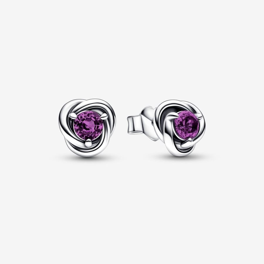 Pandora February Purple Eternity Circle Stud Earrings Gümüş | 096-THOBNV