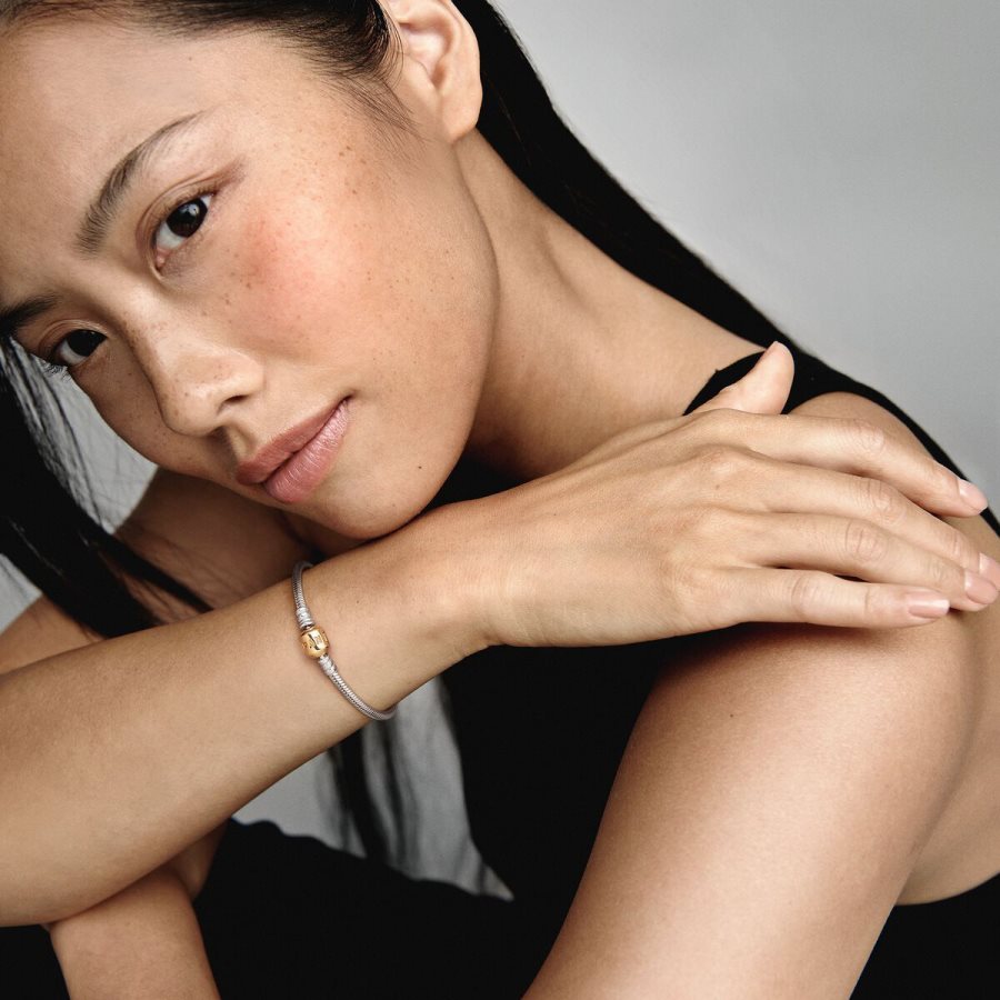 Pandora Moments Snake Chain Bracelet Renkli | 175-HMQFDA
